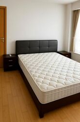 Angullia Park Residences @ Orchard (D10), Apartment #476503841